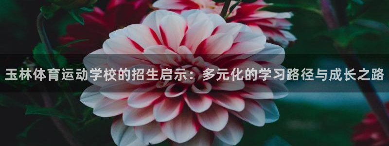 风动体育APP为恶意应用吗：玉林体育运动学校的招生启示：多元化的学习路径与成长之路