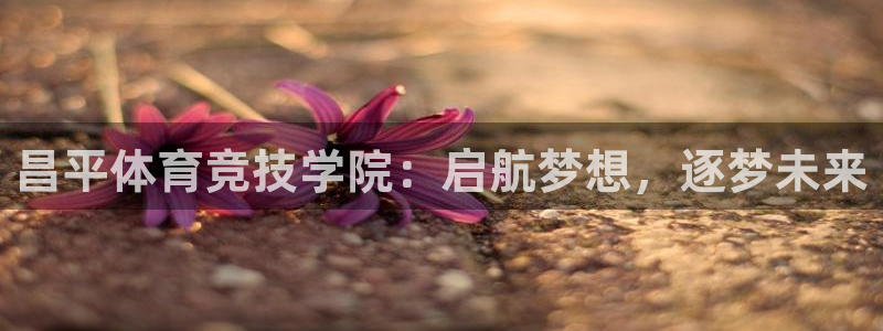 风动体育APP是正规的吗：昌平体育竞技学院：启航梦想，逐梦未来
