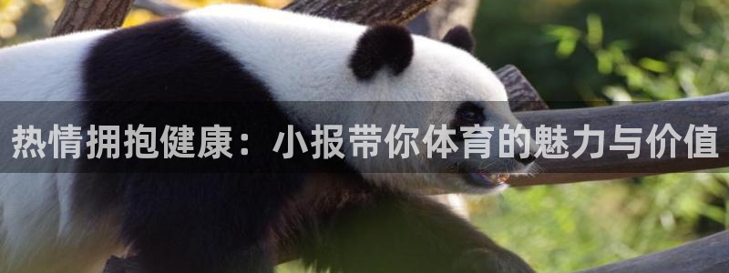 风动体育官网入口登录：热情拥抱健康：小报带你体育的魅力与价值