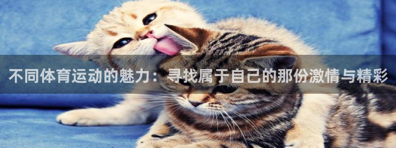 风动体育app官方网站：不同体育运动的魅力：寻找属于自己的那份激情与精彩