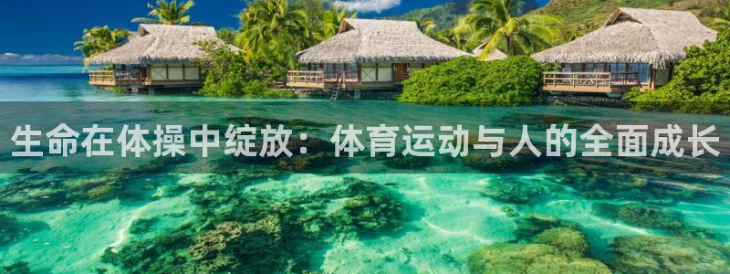 风动体育官网入口登录：生命在体操中绽放：体育运动与人的全面成长