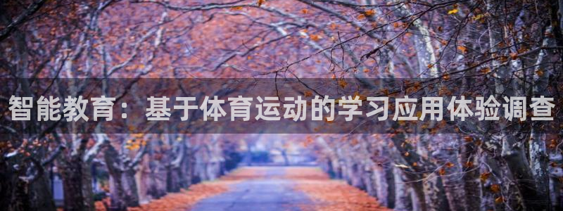 风动体育：智能教育：基于体育运动的学习应用体验调查