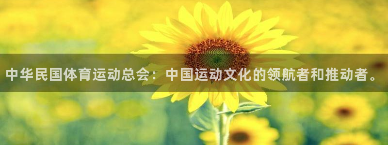 风动体育直播app：中华民国体育运动总会：中国运动文化的领航者和推动者。
